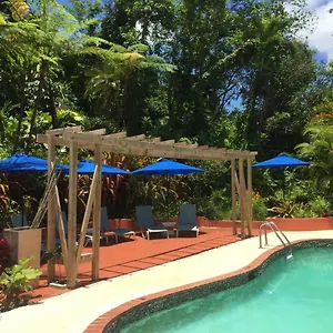  Bed & Breakfast El Pequeno Puerto Rico